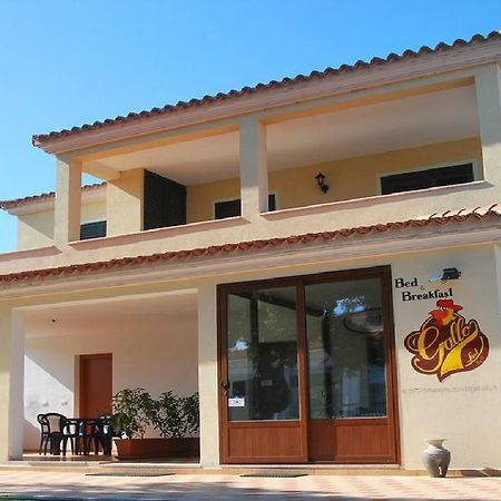 Hotel Gallo Spot San Teodoro  Exterior foto